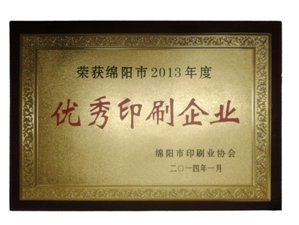 綿陽市2013年度******印刷企業